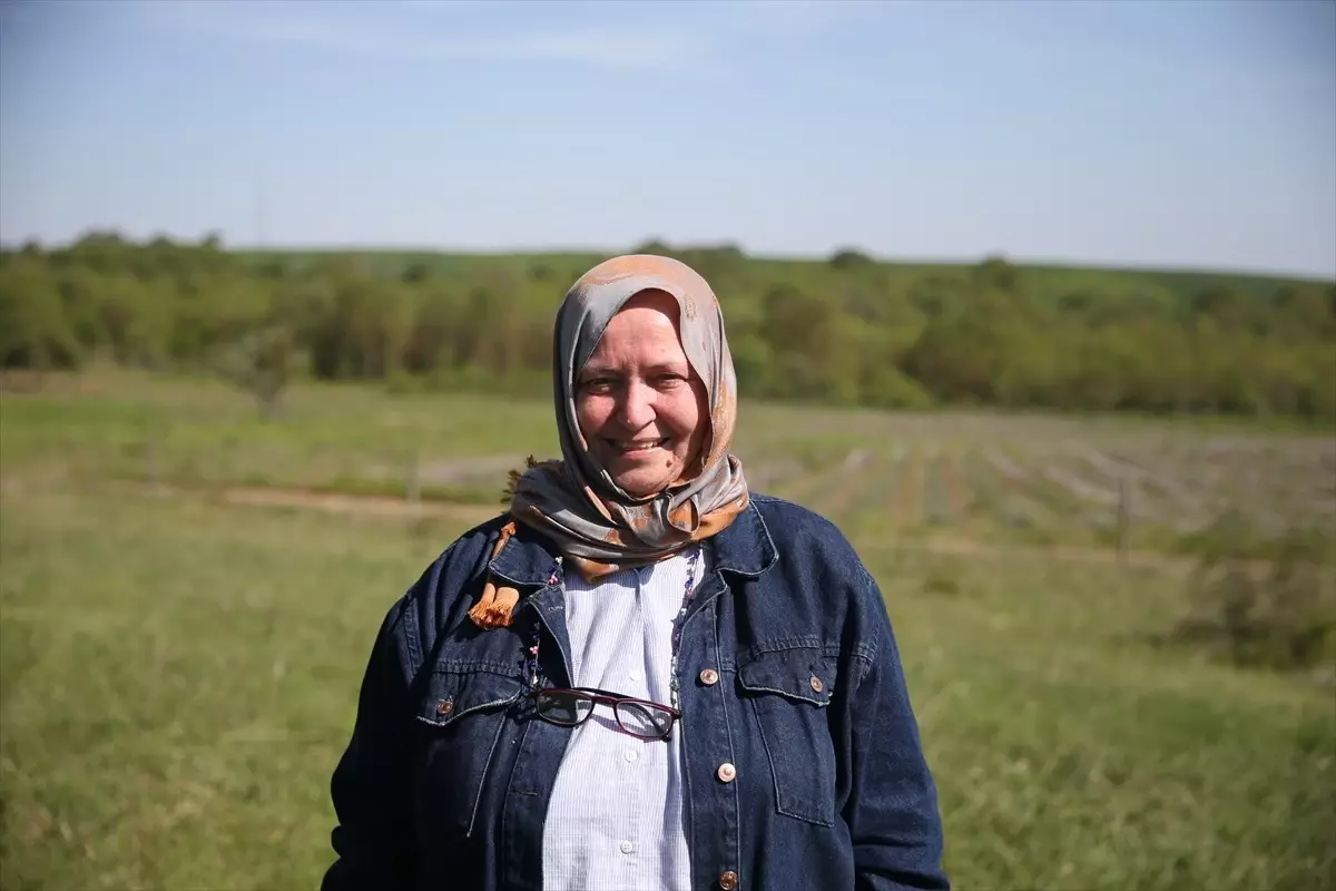 Edirne'de 'Api Turizm' Etkinliği