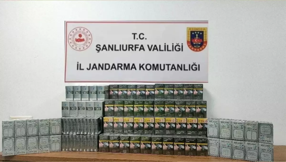 Şanlıurfa'da 980 Paket Kaçak Sigara Ele Geçirildi