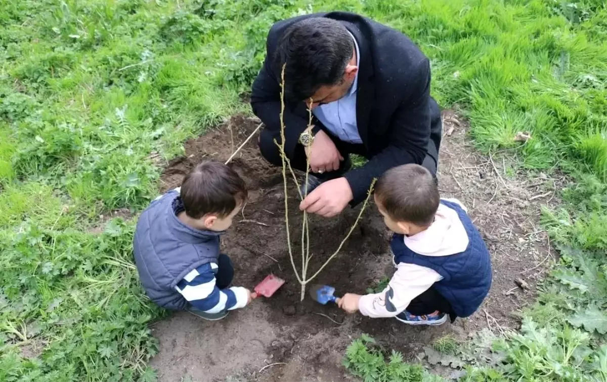 Diyadin'de Fidan Dikimi Etkinliği