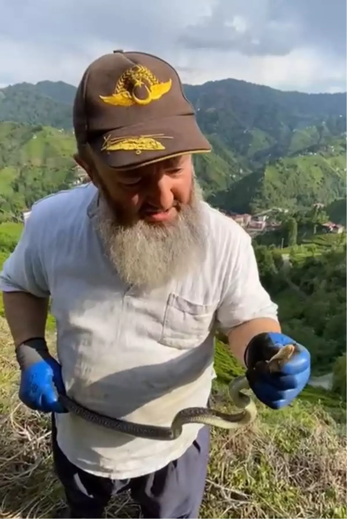 Çiftçi Yılanı Boynuna Dolaştırdı