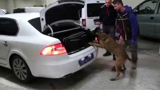 Bolu'da 9 Kaçakçılık Operasyonu