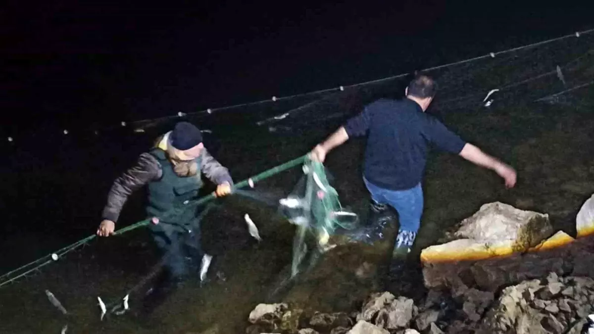 Van Gölü'nde İnci Kefali Koruma Denetimleri