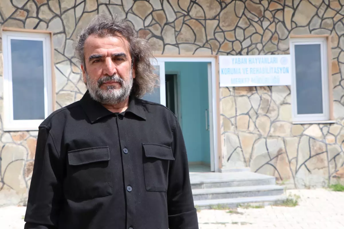 Erek Dağı'nda Zehirli Yılan Görüntülendi