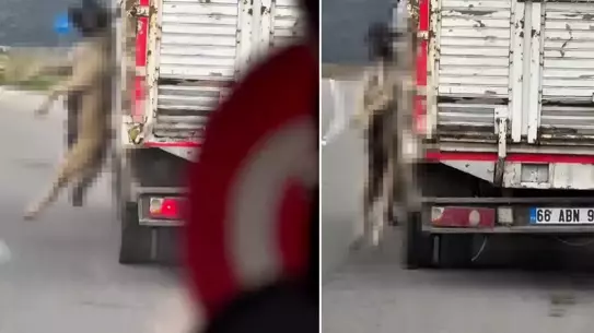 Yozgat'ta Kamyonette Asılı Köpek Olayı