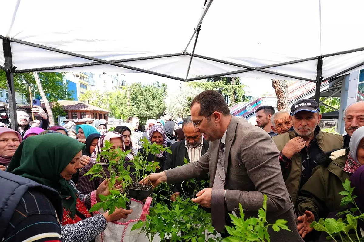 Akçaabat’ta 10 Bin Fide Ücretsiz Dağıtıldı
