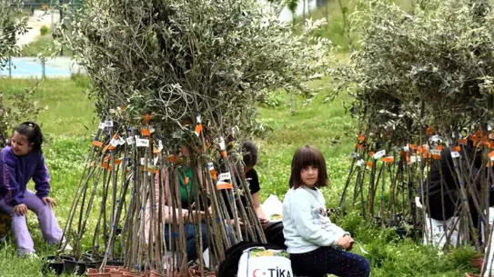 TİKA'dan Arnavutluk'ta Yetim Ailelere Destek