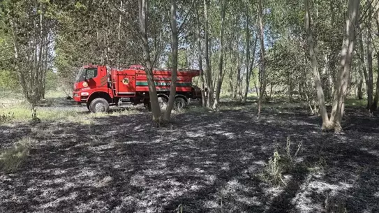 Edirne'de Çalılık Alanda Yangın Söndürüldü