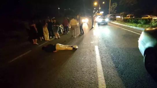 Kuşadası'nda Motosiklet Domuz Sürüsüne Çarptı