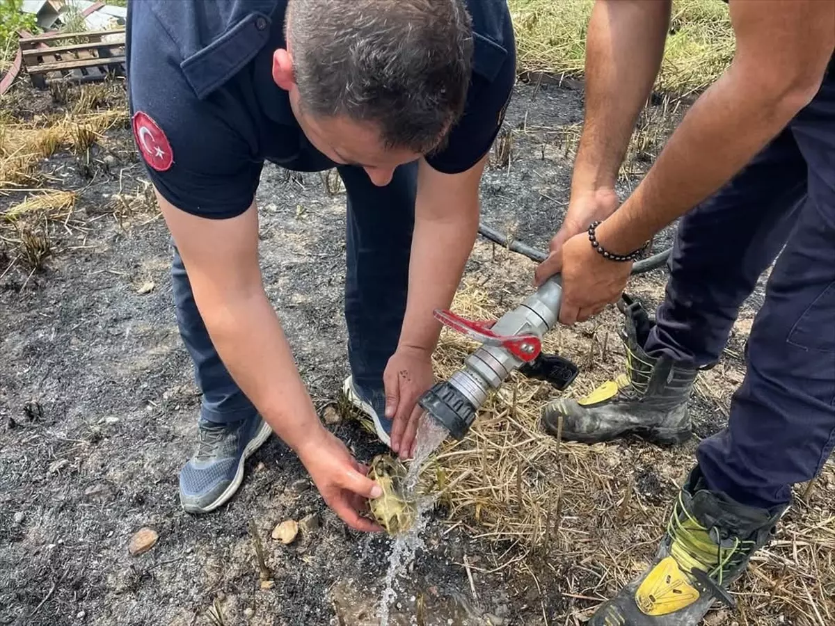 Defne'de Bahçe Yangını Söndürüldü