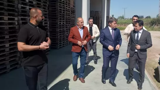 Vali Bakan Meyve Tesislerini Ziyaret Etti