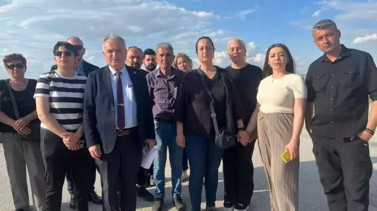 Köpek Toplama Gerginliği: Şikayetler Karşılıklı