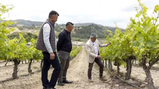 Mersin'de Üreticilere Damla Sulama Eğitimi Verildi