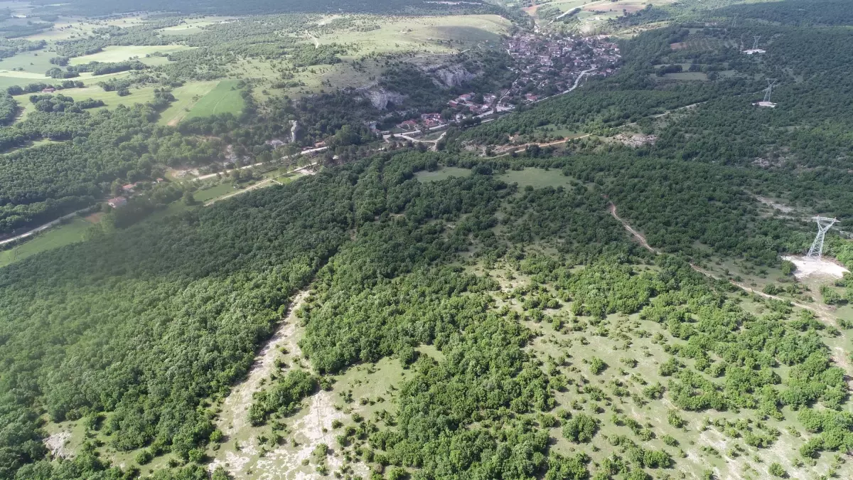 Kırklareli'nde Ormanlara Giriş Yasağı