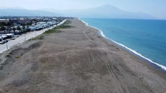 Yeşil Deniz Kaplumbağaları Tehdit Altında