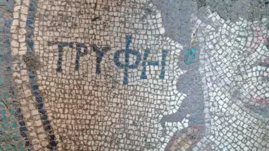 Zile'de Kaçak Kazıda Roma Mozaiği Bulundu