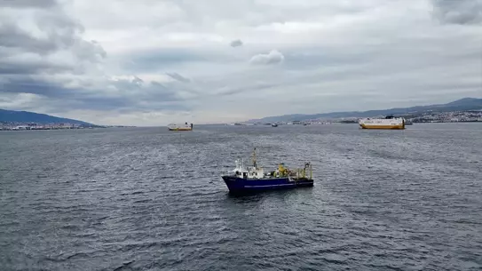 İzmit Körfezi'nde Su Kalitesinde İyileşme
