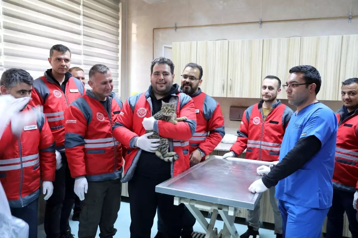 Kocasinan Belediyesi'nden Veteriner Ekiplerine Eğitim Programı