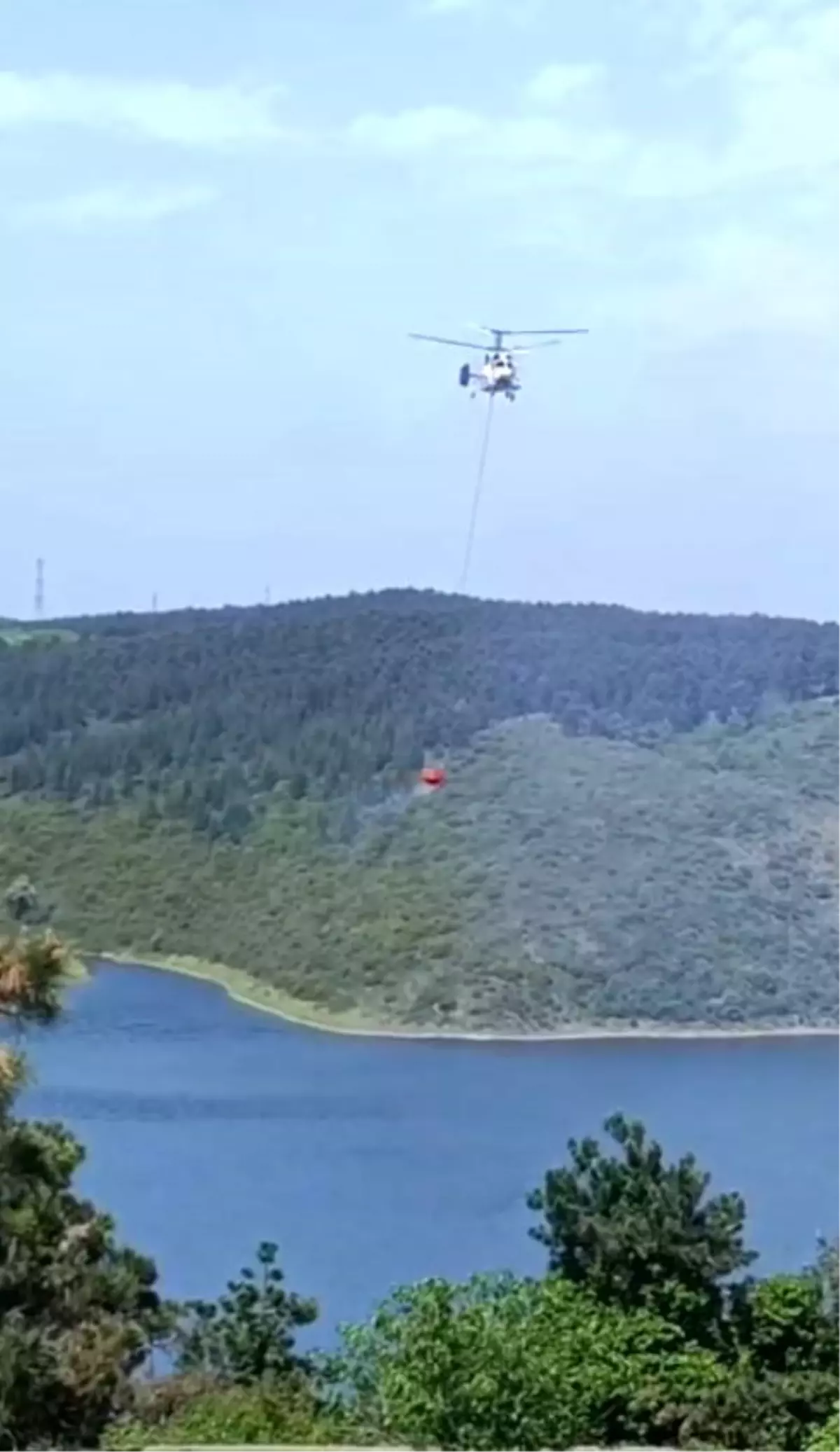 Sultangazi'de Orman Yangını