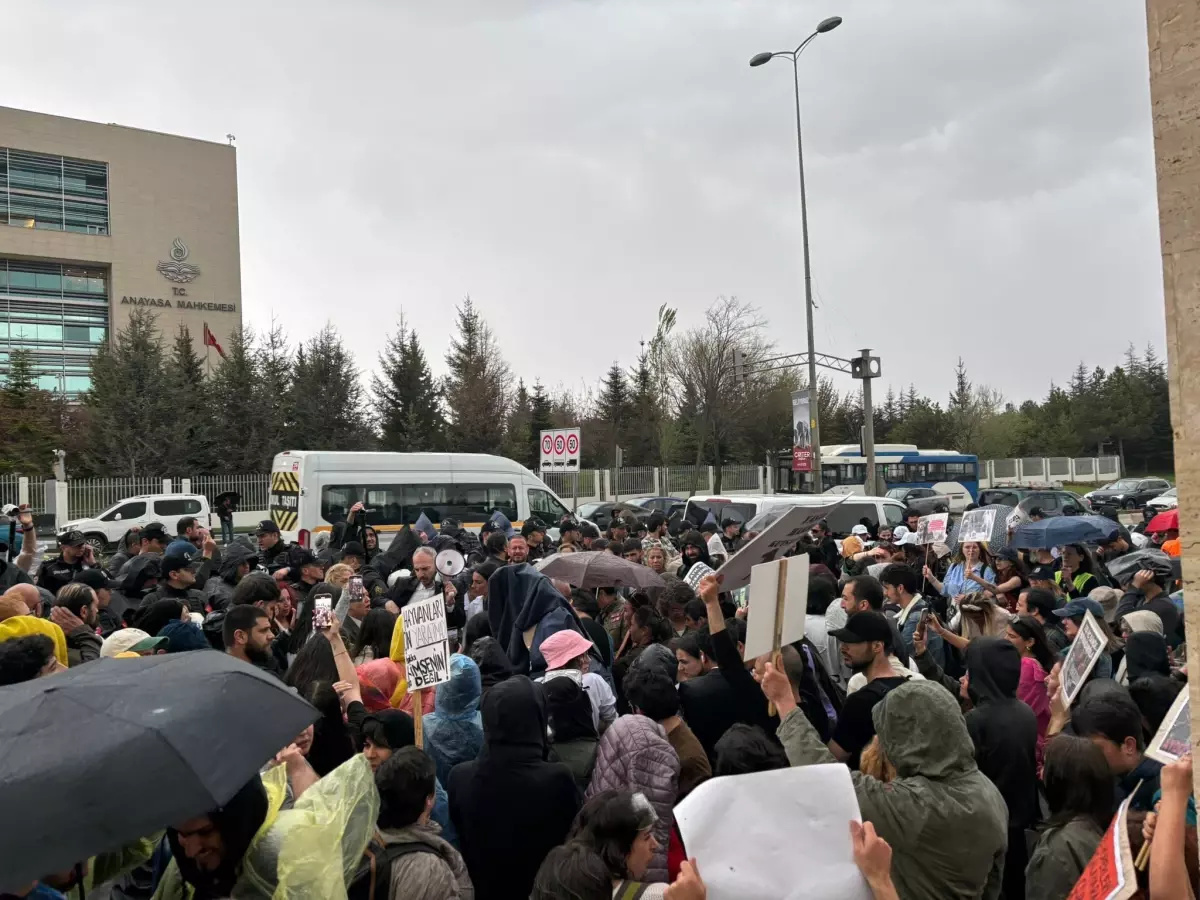 Sokak hayvanları kararı sonrası hayvanseverler AYM'nin kapısına dayandı