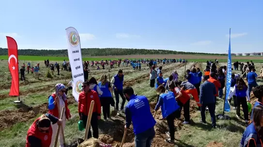 Kırşehir'de 1000 Fidan Dikimi