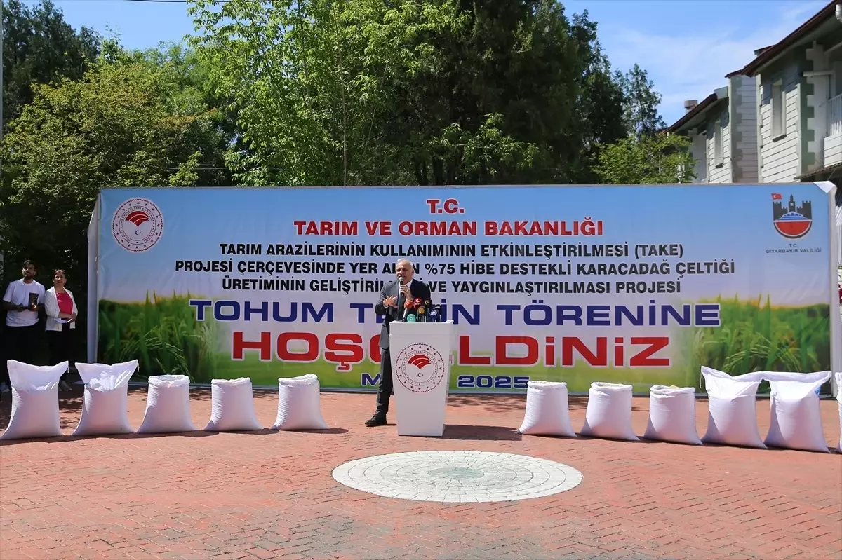 Diyarbakır'a 27 Ton Çeltik Tohumu Desteği