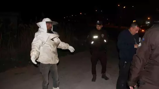 Beyşehir'de Arı Kovanı Devrildi
