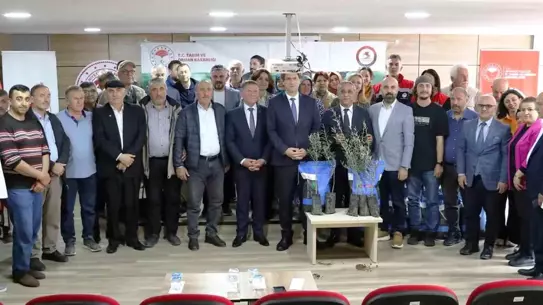 Samsun'da Sorgum Tohumları Dağıtıldı