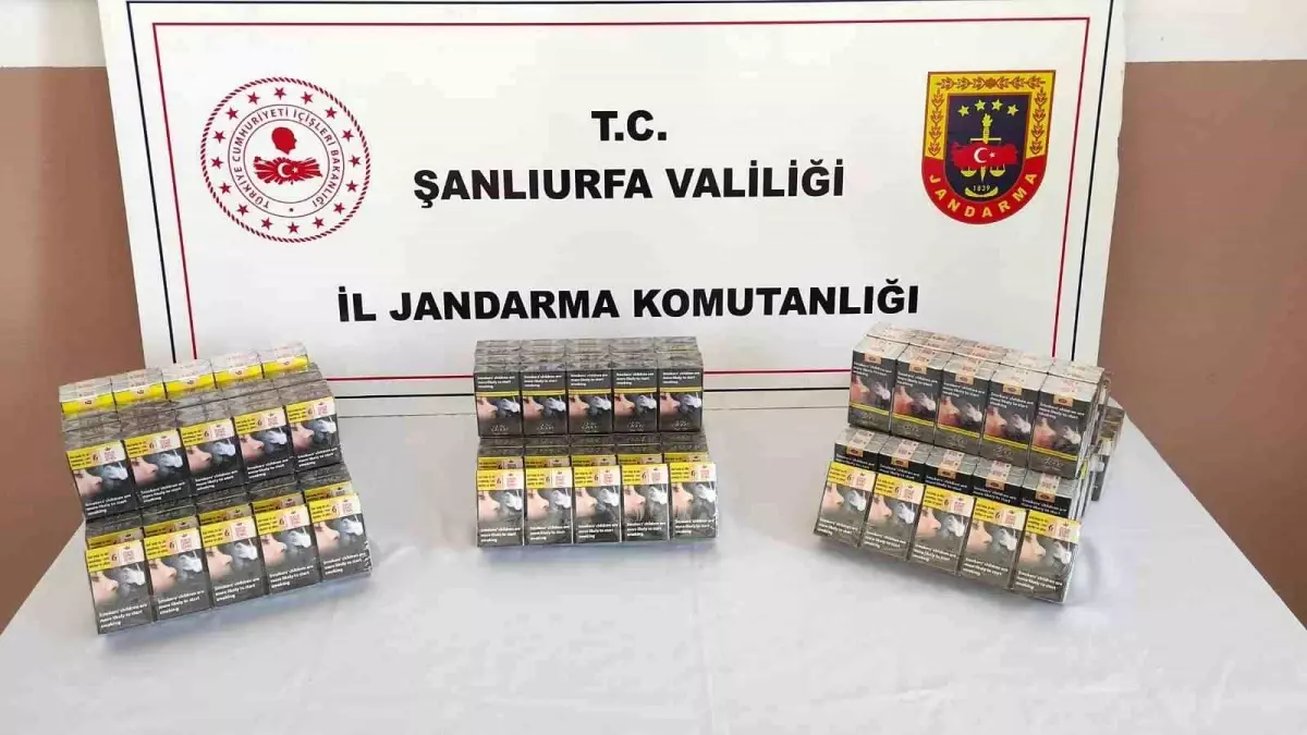 Şanlıurfa'da Gümrük Kaçağı Sigara Operasyonu