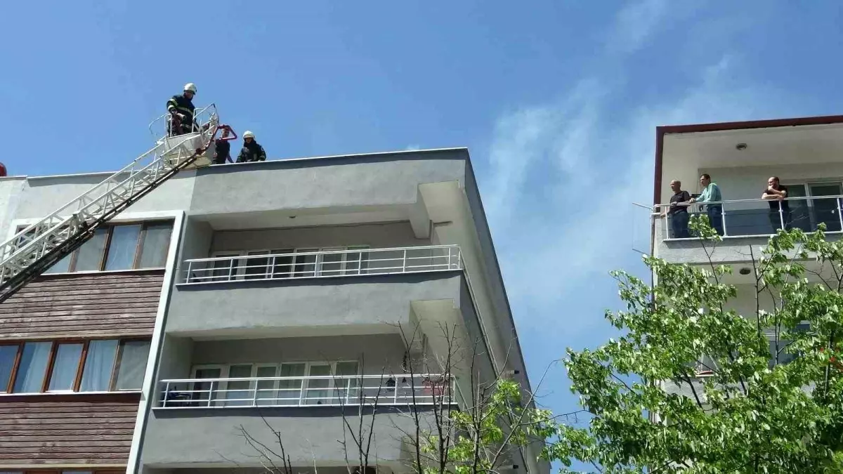 Muğla'da İşletmenin Bacasında Yangın Paniği