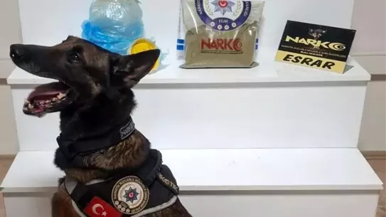 Balıkesir'de Uyuşturucu Operasyonu