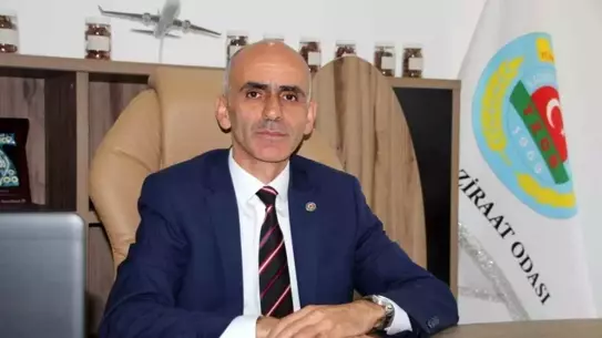 FİSKOBİRLİK'in Arazi Satışı Giresun'un Gelişimine Engel Oluyor