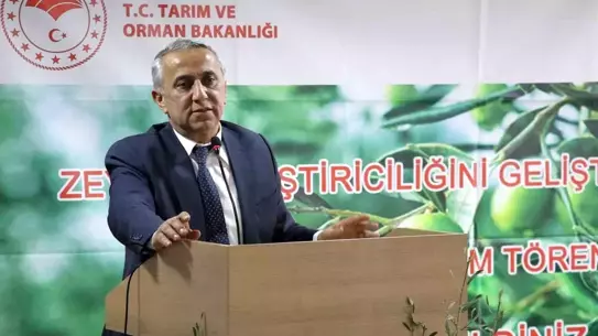 Samsun'da Zeytin Üretimi Artacak