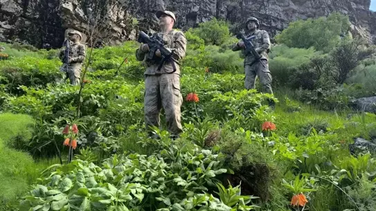 Hakkari'de Ters Lale Koruma Önlemleri Artıyor