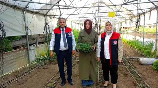 Kadın Üreticilerin Seralarına Ziyaret