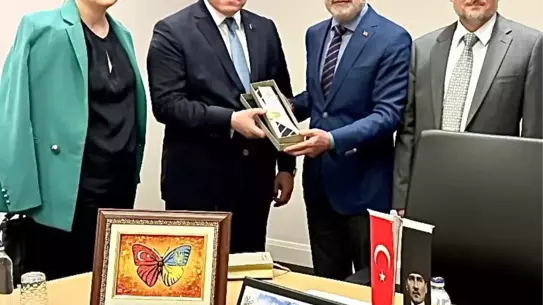 Cumhurbaşkanı Başdanışmanı Topçu: "Hindistan'ın Pakistan'a yaptığı bu kışkırtıcı saldırısını kınıyoruz"