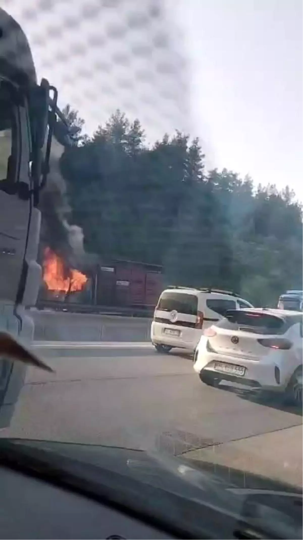 Gemlik'te Canlı Hayvan Yüklü Kamyon Yangını