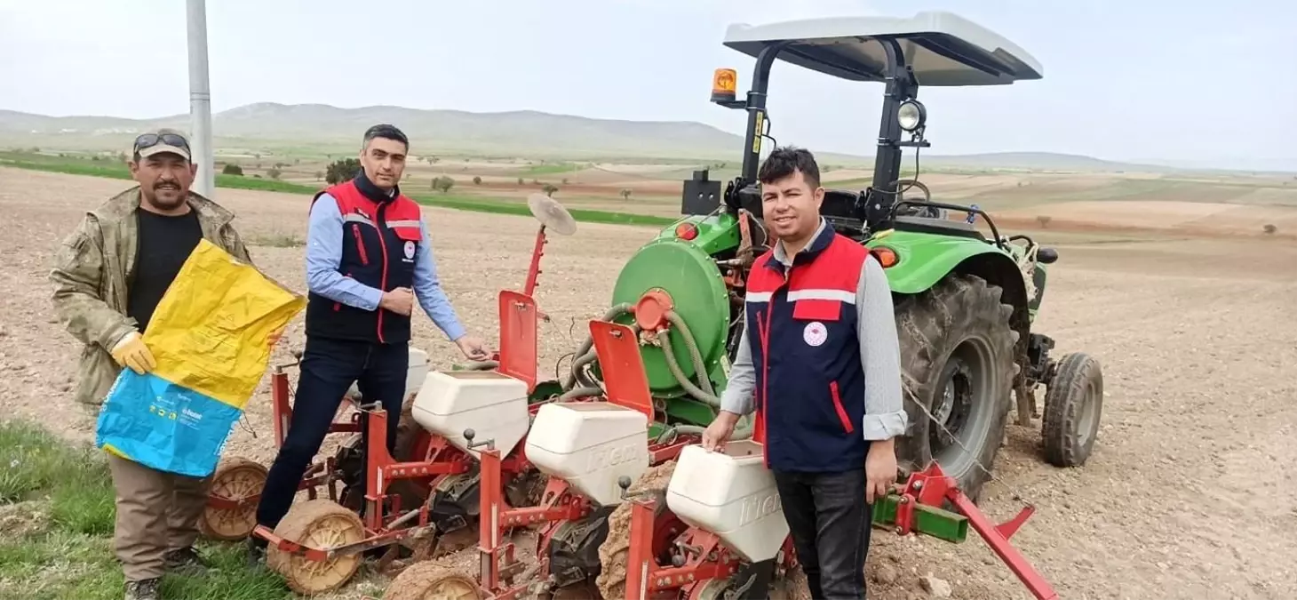 Yerli Tohumların Yaygınlaştırılması