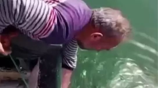 Balıkçıdan Yunusa Espirili Uyarı