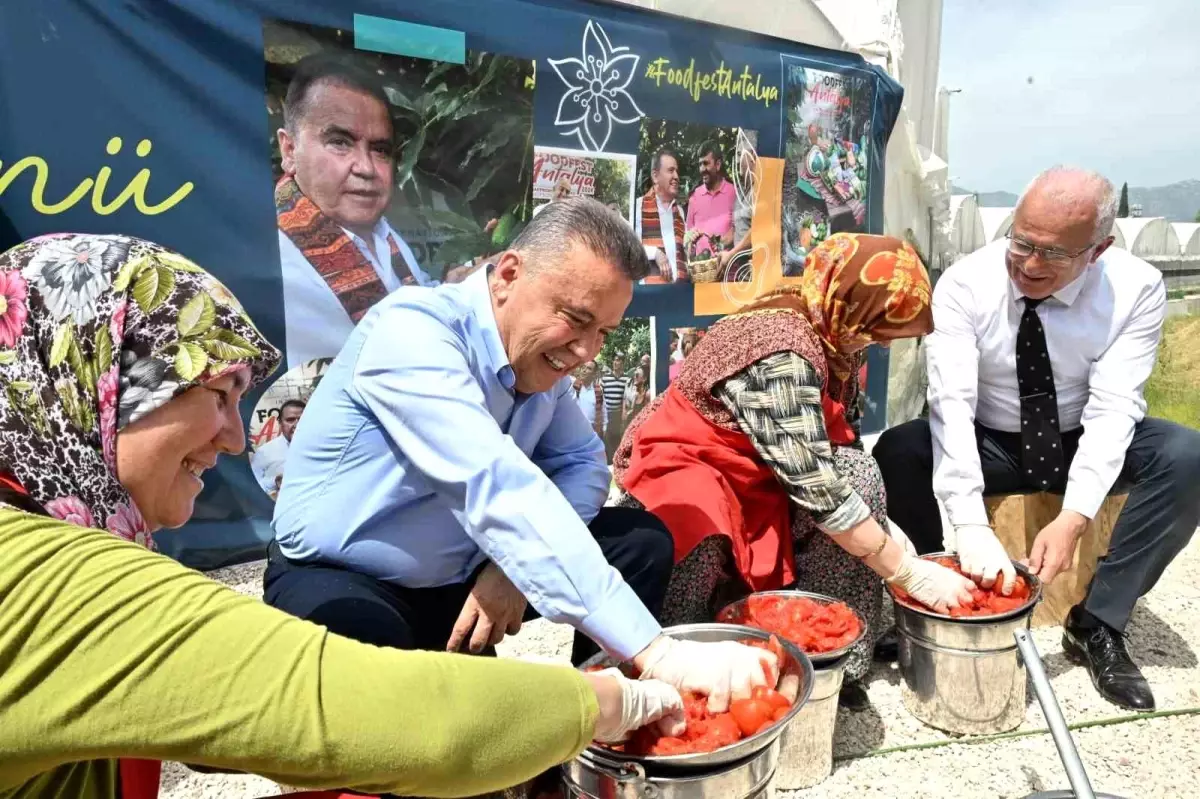 4. Uluslararası FoodFest Antalya Başladı: Domates Hasadı Kumluca'da Yapıldı