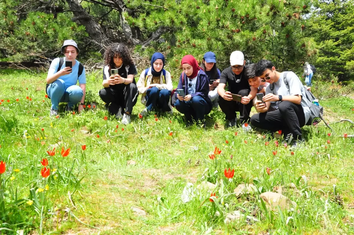 Manisa Lalesi İçin Doğa Etkinliği