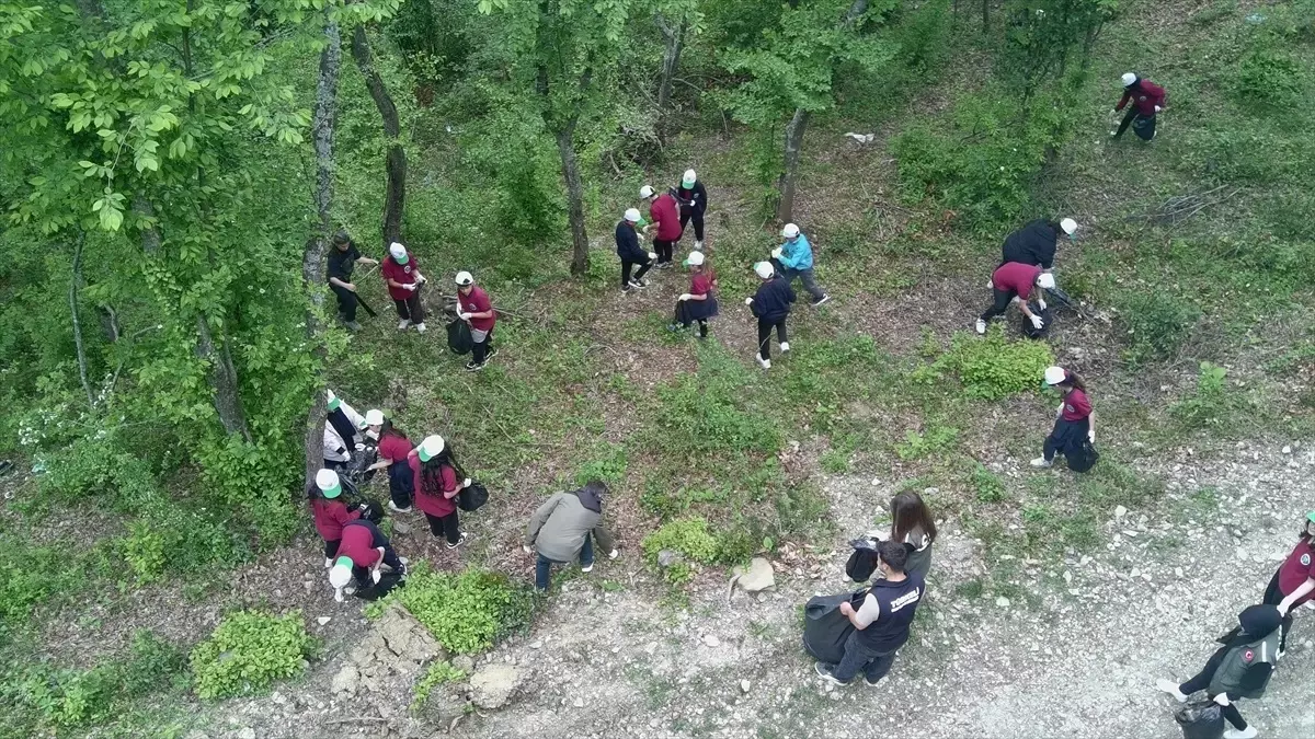 Sinop'ta Orman Yangınlarına Dikkat Çekildi