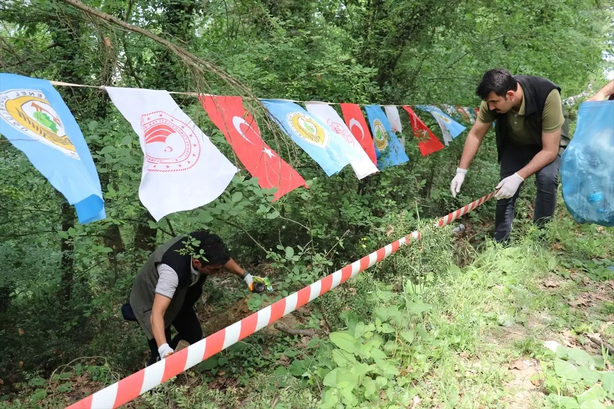 Sakarya ve Düzce'de Orman Yangınlarına Karşı Etkinlik