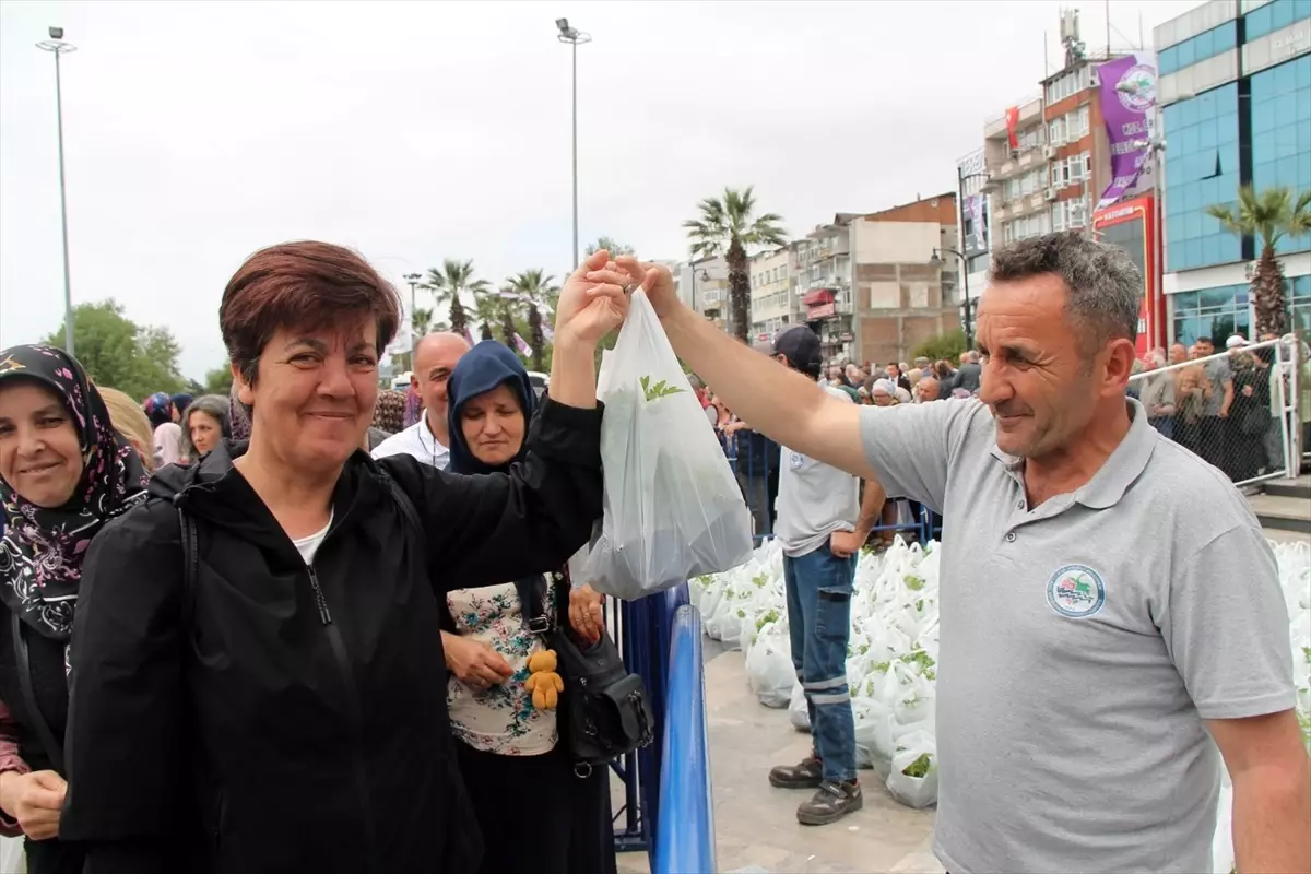 Ereğli'de 350 Bin Sebze Fidesi Dağıtıldı