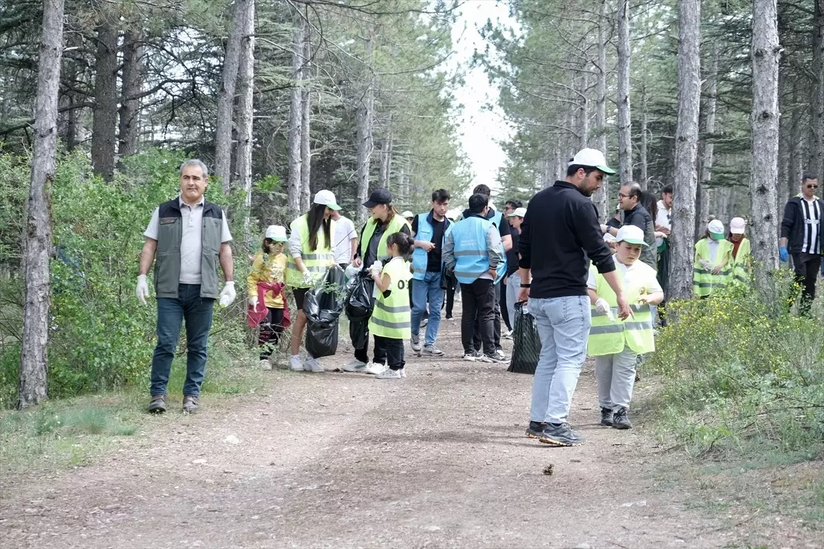 Çankırı'da 'Orman Benim' Etkinliği Düzenlendi