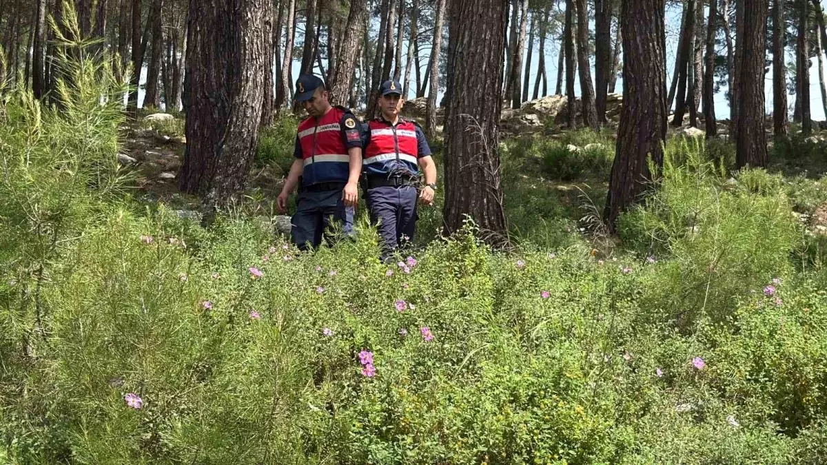 Bodrum'da Orman Yangınları İçin Denetim Seferberliği