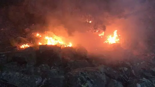 İspir'de Orman Yangını Kontrol Altına Alındı
