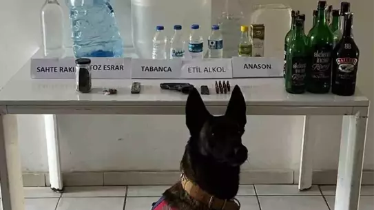 Samsun'da Sahte Alkol Operasyonu