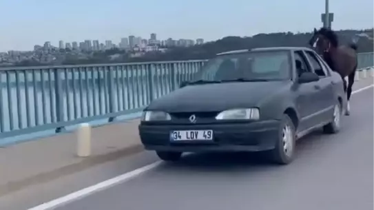 Atla Otomobil Sürmekte Gözaltı!