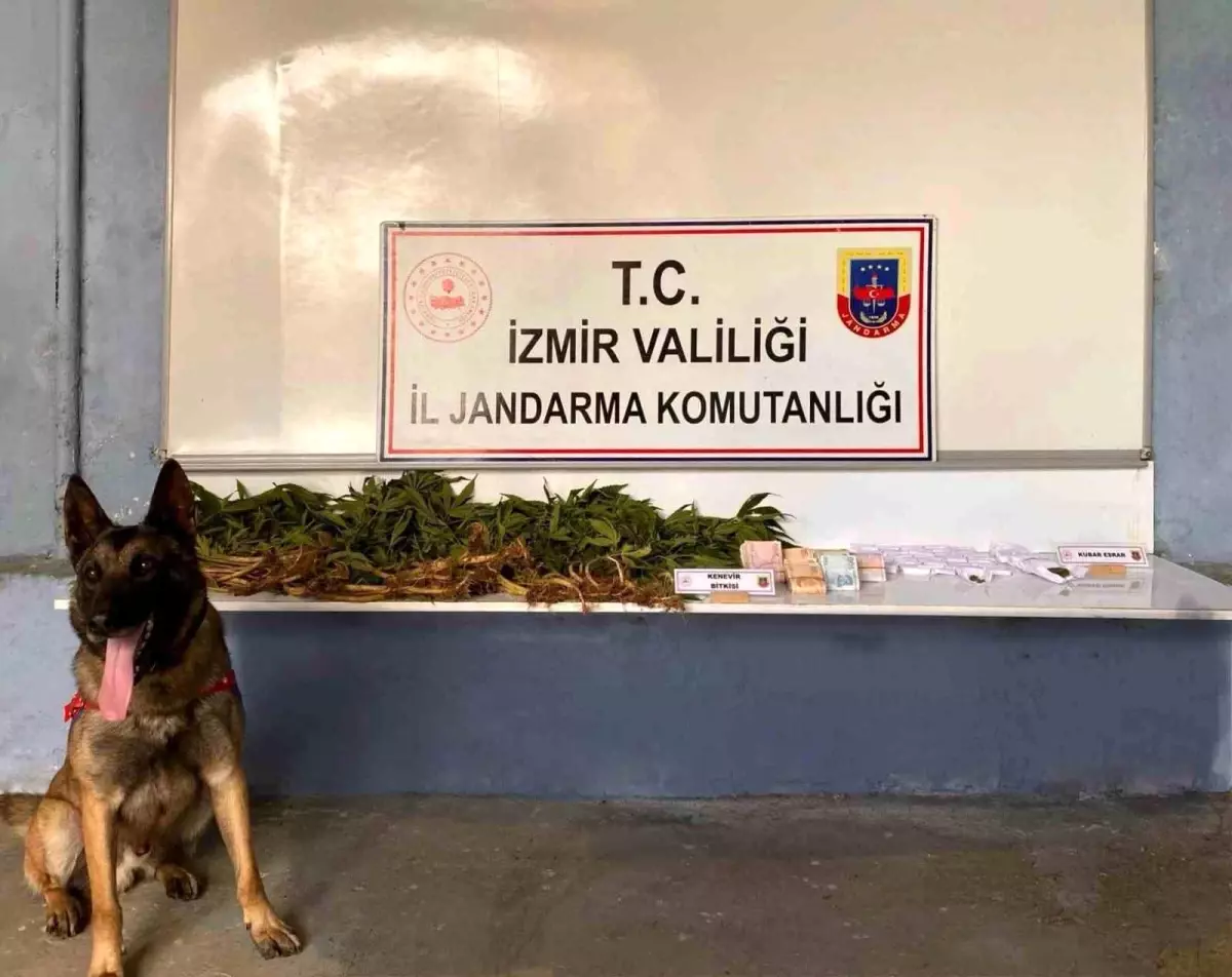 Ödemiş'te Uyuşturucu Baskını