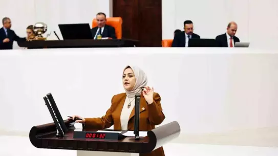 Sema Silkin Ün: Bütçe Açığı İstihdam Sorunu